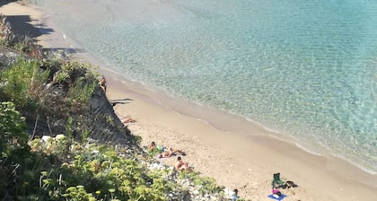 Terra Sinus Beautiful Suite