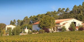 المنشأة من الخارج