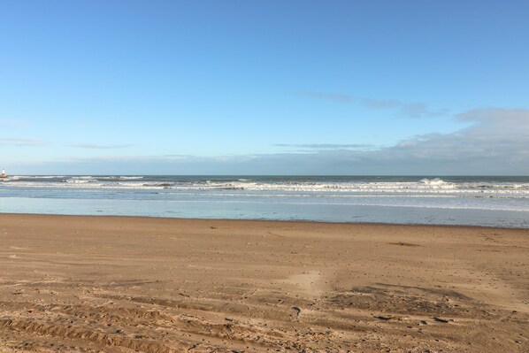 Cottage | Interior - The Lazy Seal (Berwick-upon-Tweed)
