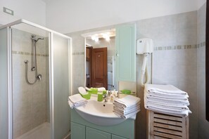 Shower, hair dryer, towels