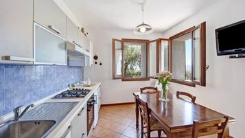 Fridge, oven, stovetop, dishwasher