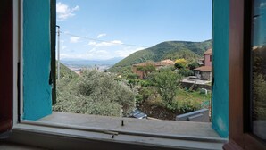 A view through a window with a teal frame, overlooking a hillside with buildings and trees.