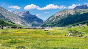 A mountainous landscape with a village nestled in the valley. - Apartment 'Miky House Valandrea' with Mountain View, Balconies and Wi-Fi (Livigno)