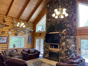 Smart TV, fireplace, video library
