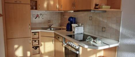 Kühlschrank, Ofen, Herdplatte, Geschirrspüler