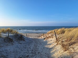 A sandy beach path leading to the ocean with dunes on either side. - Apartment D5 - 2-room apartment close to the beach on the second floor with two (Graal-Müritz)