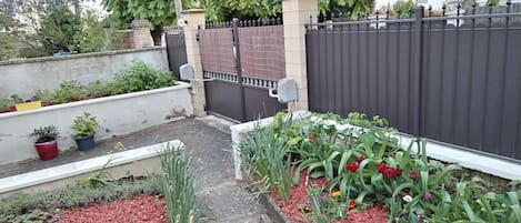 A garden area with a pathway, potted plants, and a variety of flowers.