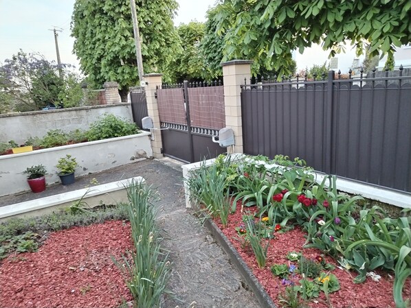 A garden area with a pathway, potted plants, and a variety of flowers.