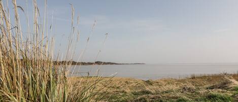 Un paysage côtier avec de hautes herbes et une vue dégagée sur la mer.