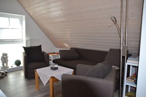 Télévision, cheminée, lecteur de DVD, livres