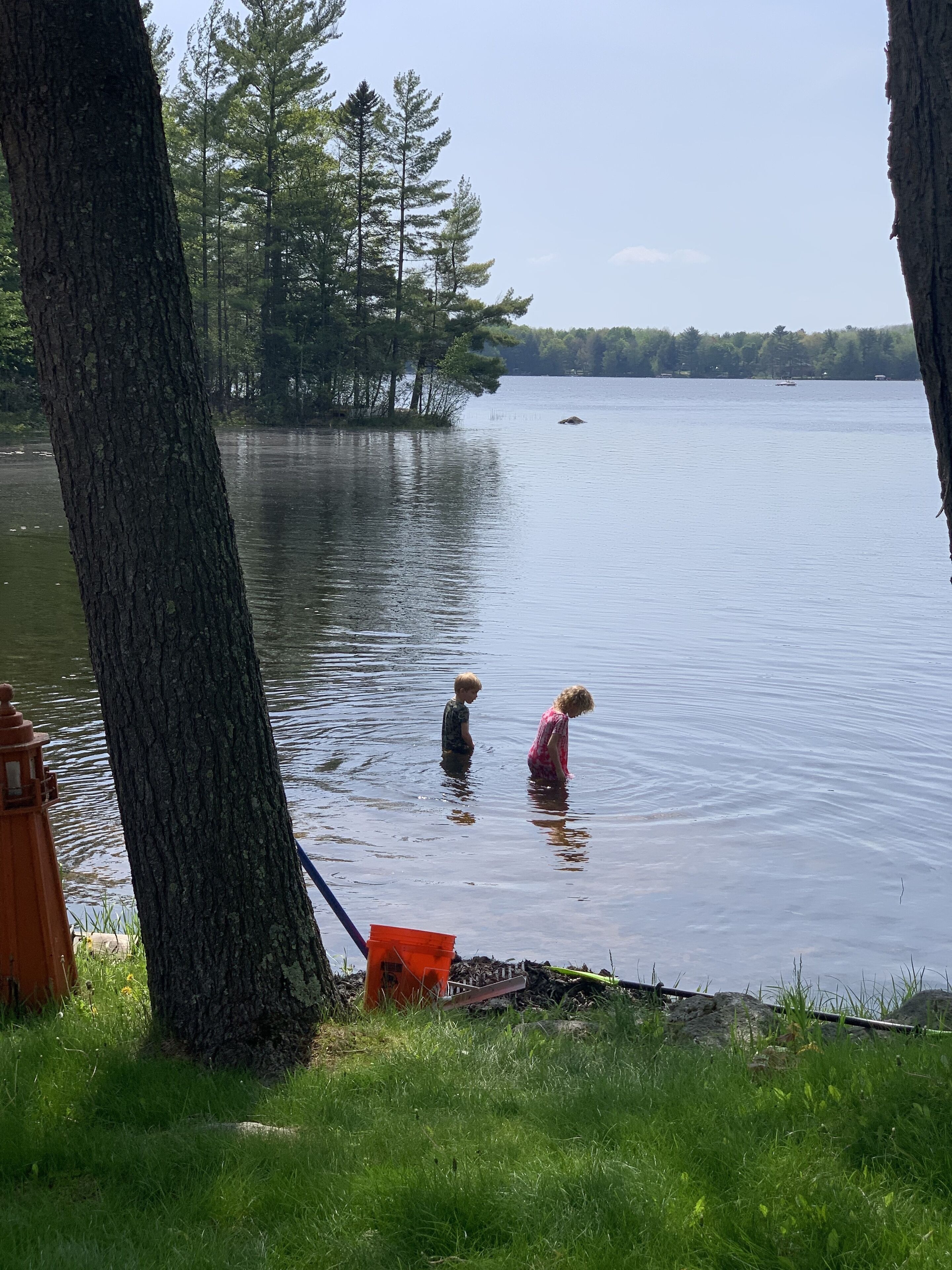 A lake with two people in the water, surrounded by trees and a grassy area with a fire hydrant.