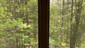 Una ventana con vista a un área boscosa.