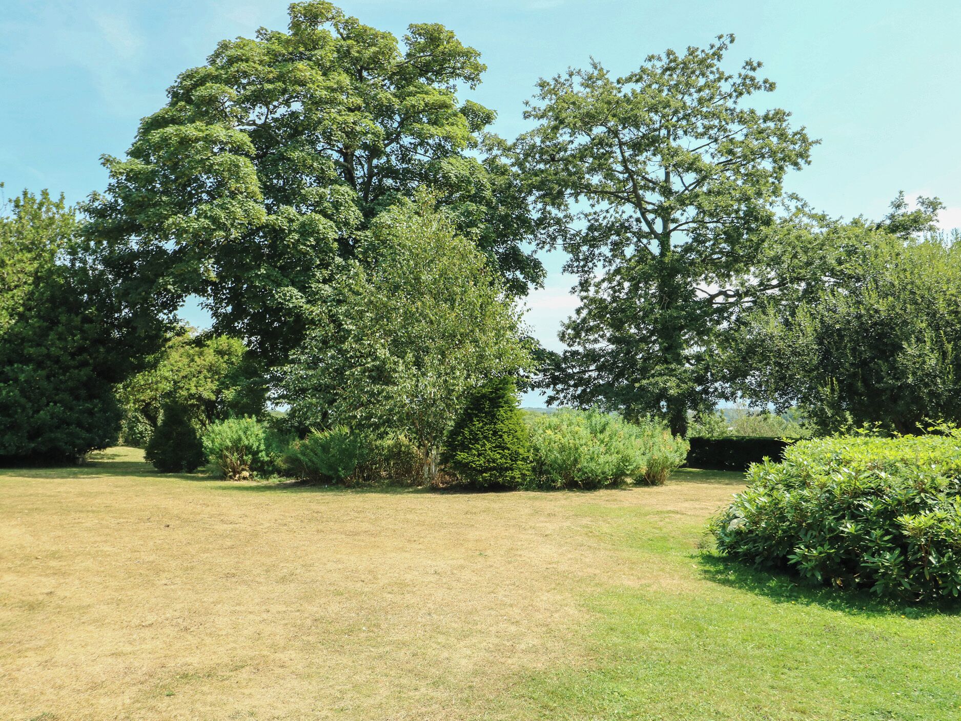 A grassy area with trees and shrubs, likely a park or garden setting.