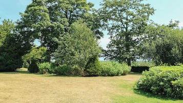 A grassy area with trees and shrubs, likely a park or garden setting.