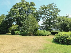 Un área con césped, árboles y arbustos, probablemente un parque o jardín.