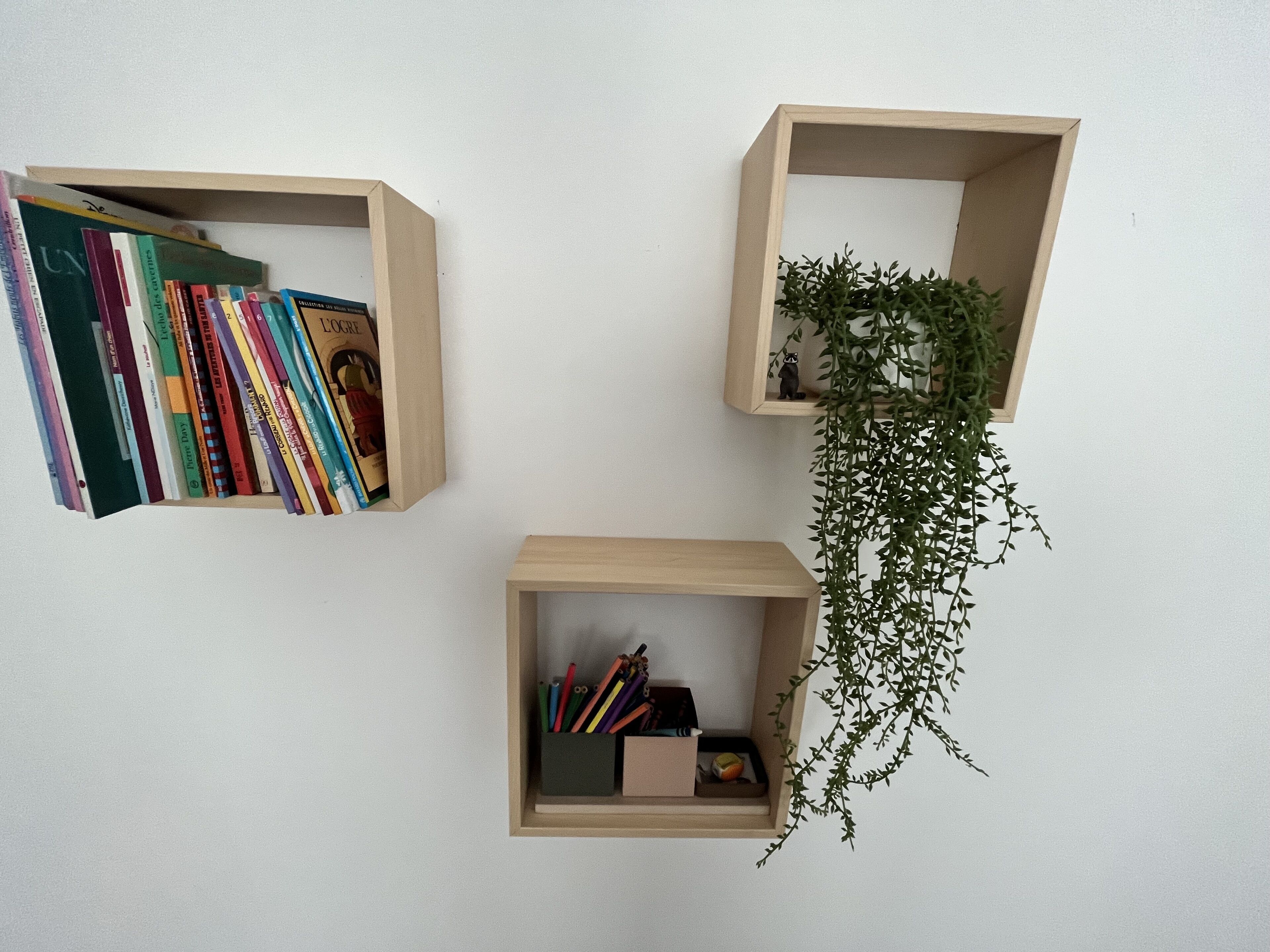 Three wooden shelves with books, a plant, and stationery items.
