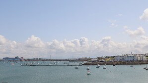 Un puerto con numerosos barcos, un crucero y edificios a lo largo de la costa.