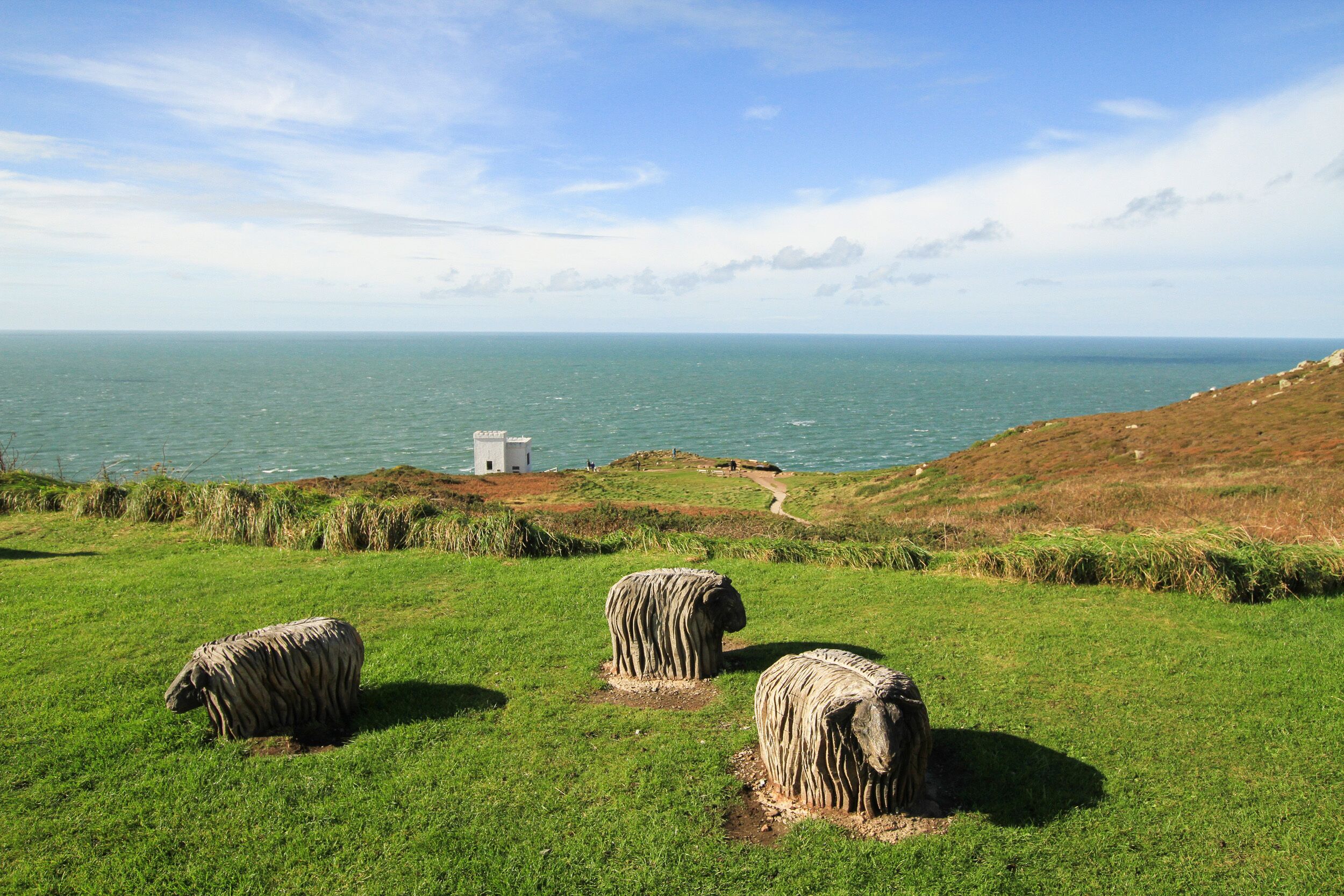 A grassy field with three stone sheep sculptures and a white building in the distance by the sea.