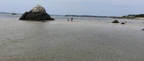 Chaises longues, serviettes de plage