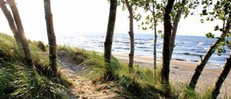 Beach nearby, sun-loungers, beach towels