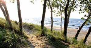 A beach path with grass and trees leading to the sea.