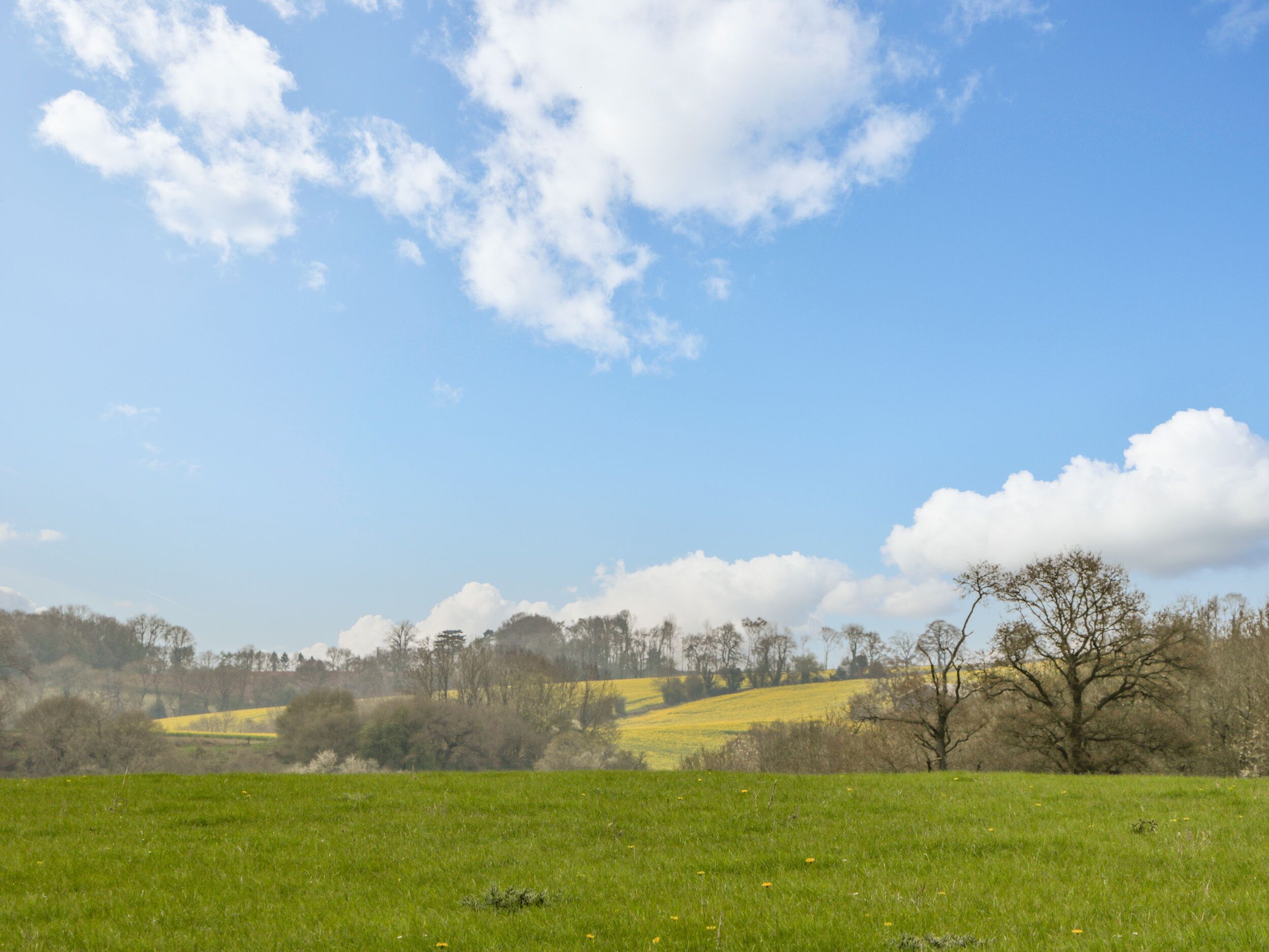 A wide, open field with a clear sky and scattered clouds.