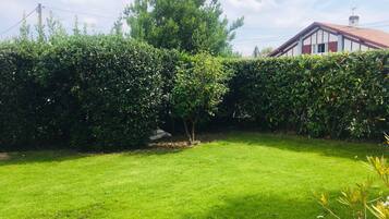 Ein gepflegter Rasen mit einer Hecke und einem Gebäude im Hintergrund.