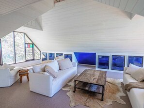 TV, fireplace, video games, books