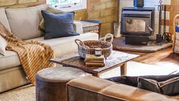 TV, fireplace, video games, books