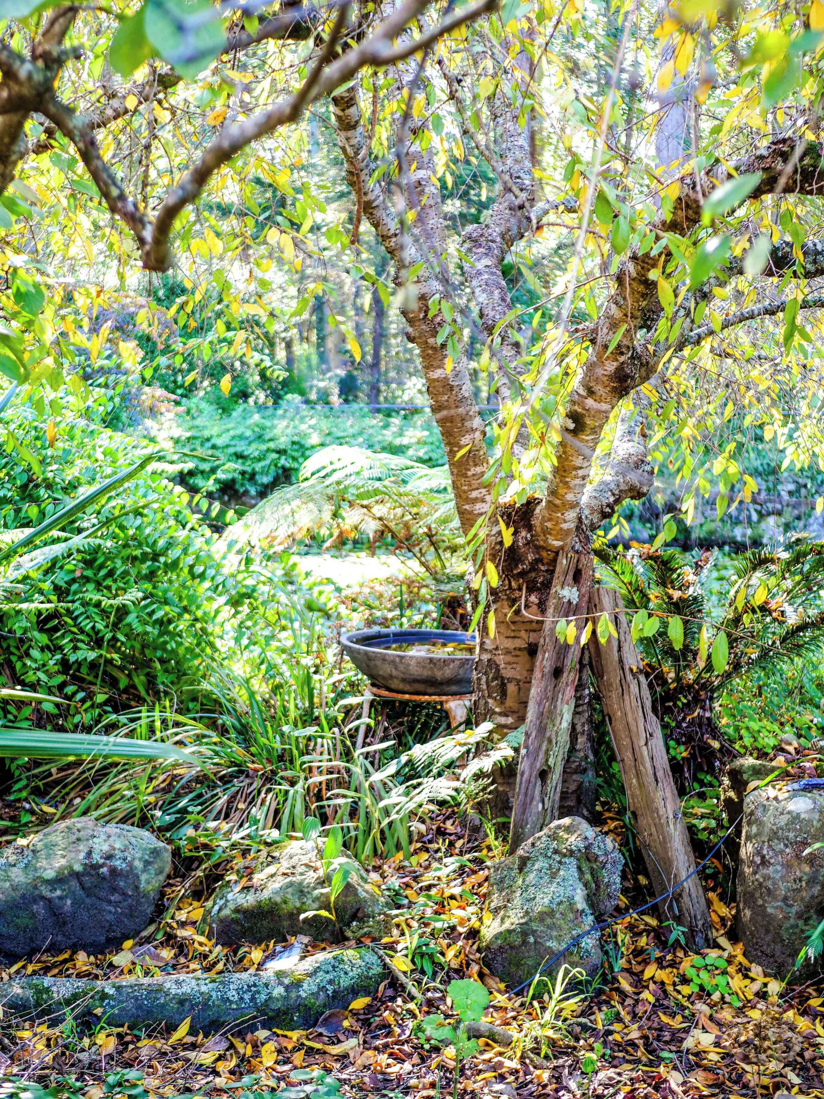 Overnattingsstedets uteområder