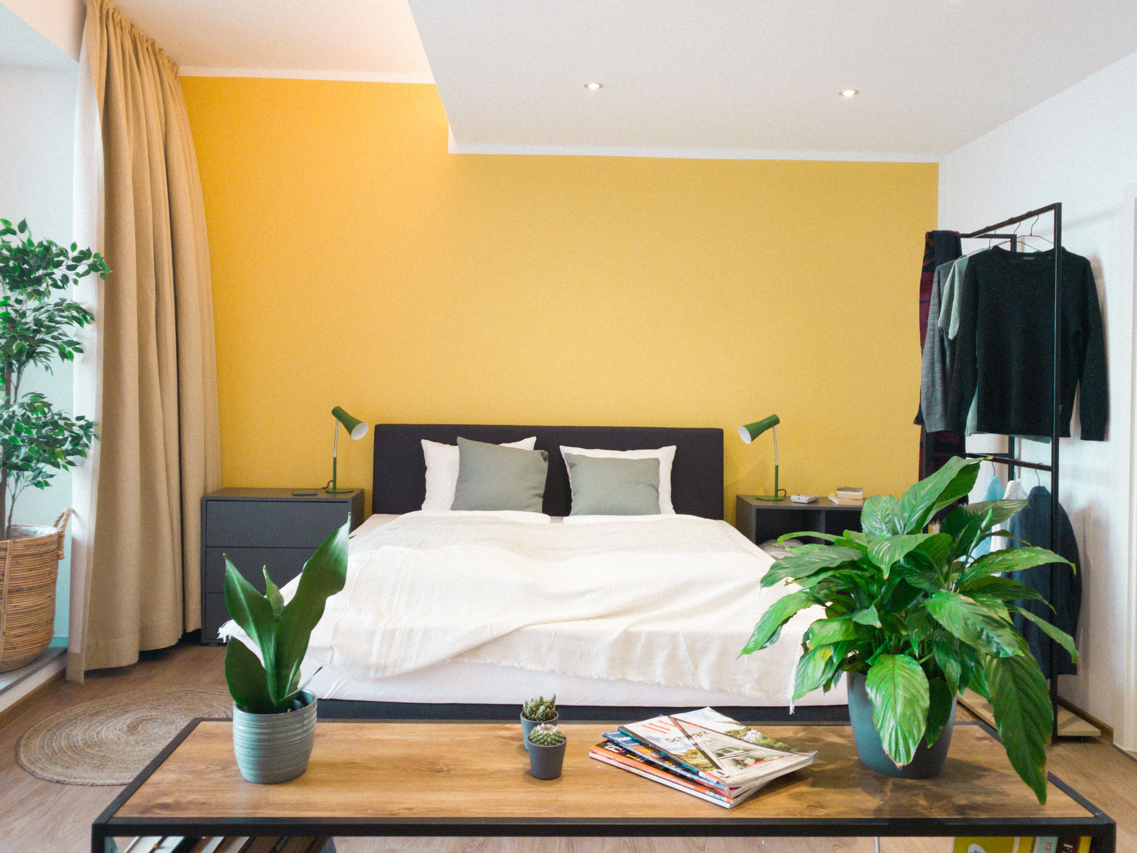 Camera da letto moderna con un letto, comodini, lampade e un tavolino da caffè con libri e piante.