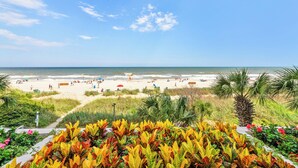 Una platja amb cel serè, palmeres i un camí que mena a la platja.