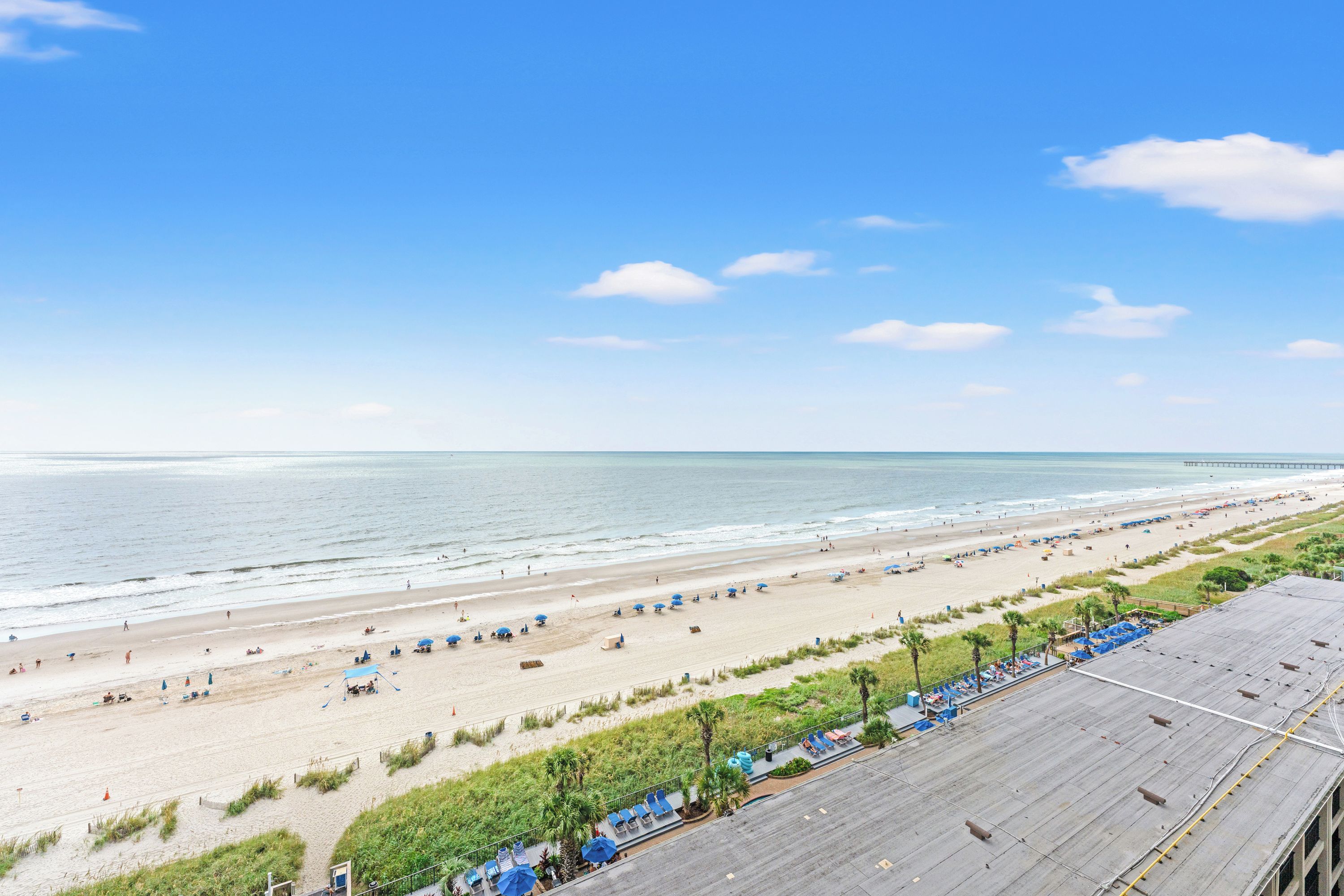 Una spiaggia con un lungo molo che si estende nell'acqua, una riva sabbiosa con ombrelloni e lettini, e una zona verde con un pontile di legno.