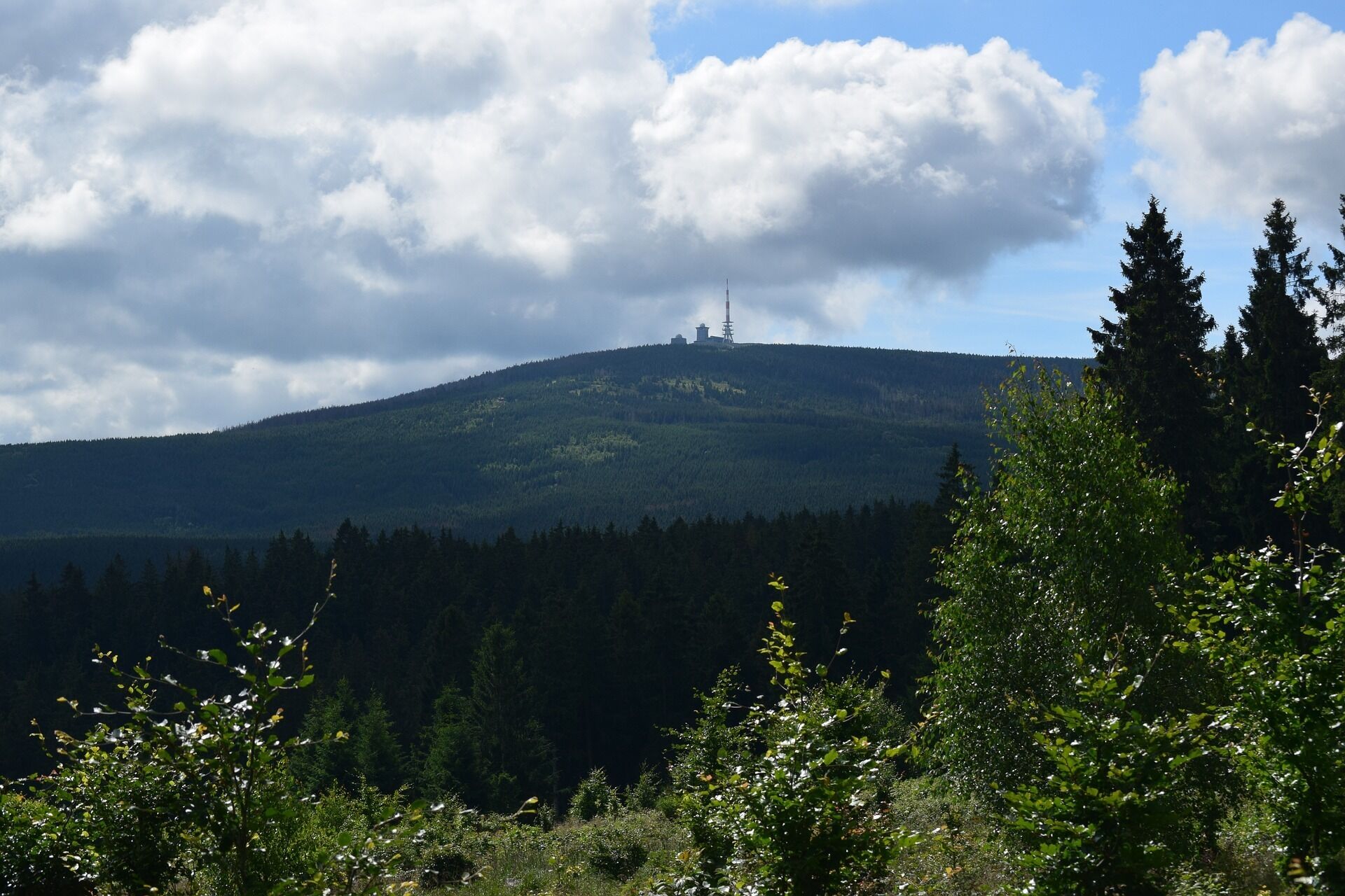 Eine Berglandschaft mit blauem Himmel und bewaldetem Gebiet.