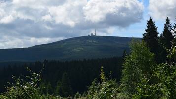 Eine Berglandschaft mit blauem Himmel und bewaldetem Gebiet.