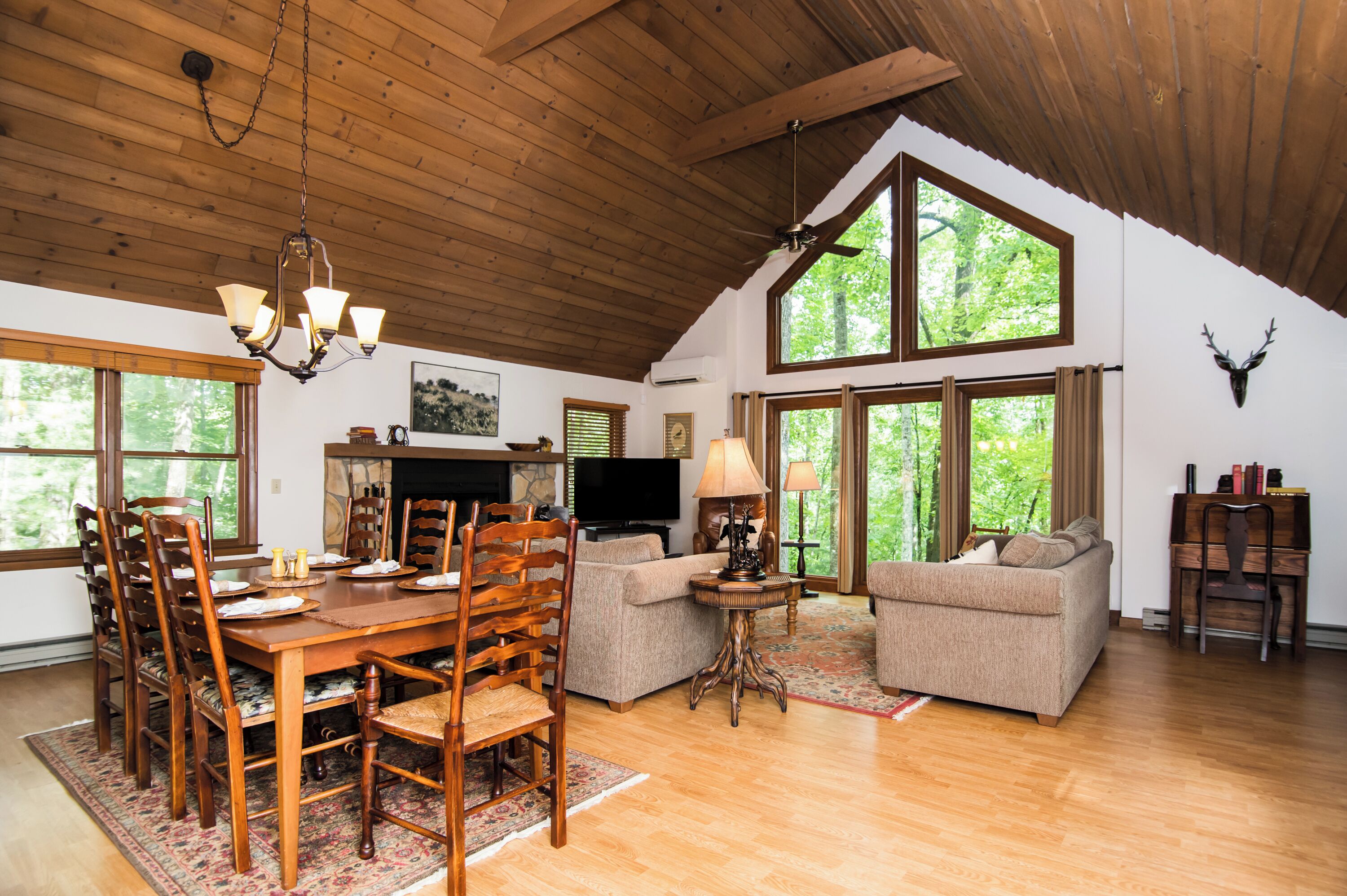 Smart TV, fireplace, DVD player, books