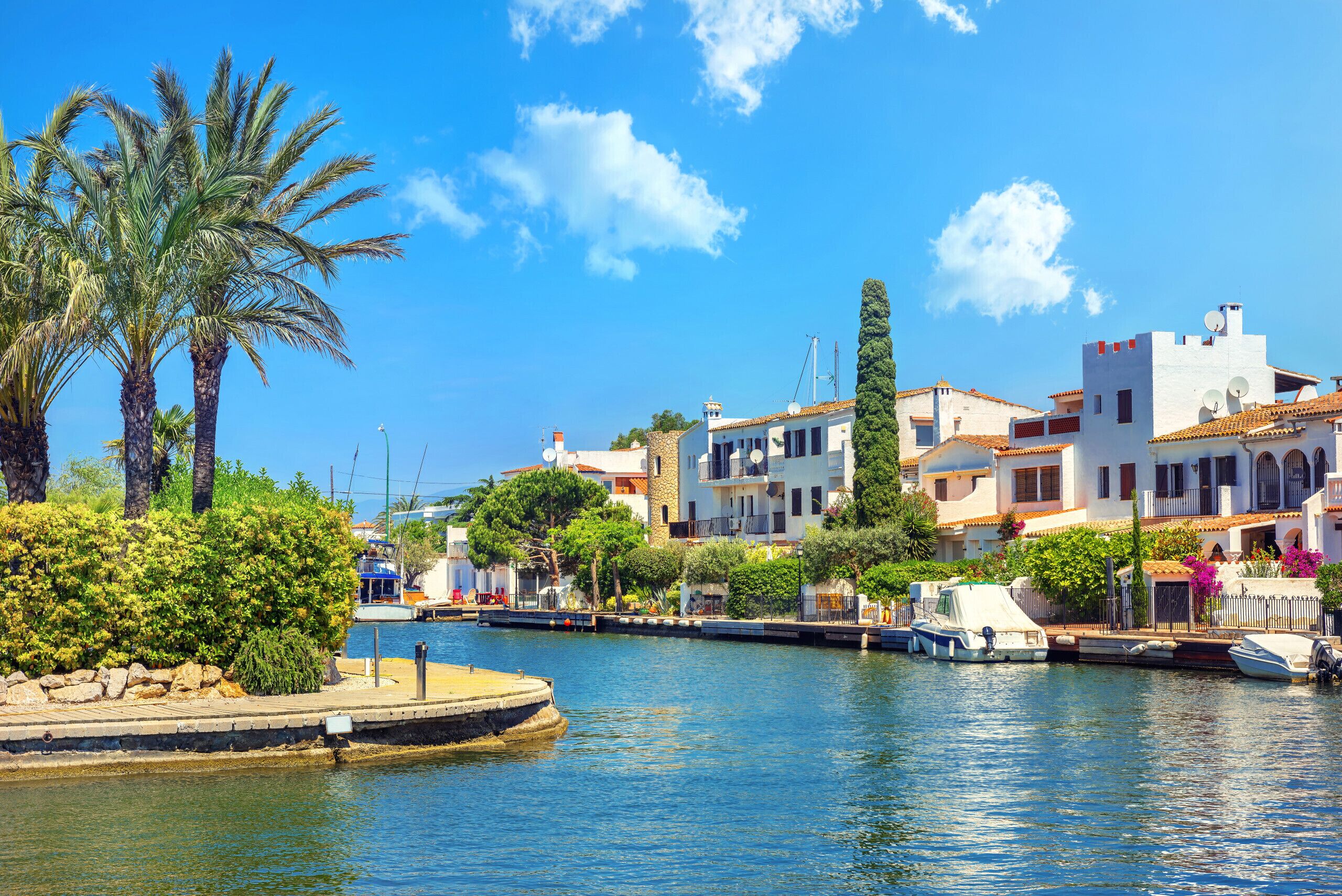 Una zona frente al agua con edificios, un muelle y una palmera.