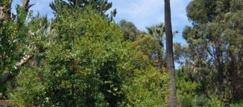 Belle Epoque villa with beautiful sea views, near super Cannes