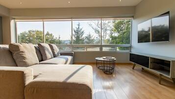 TV, DVD player, books, stereo