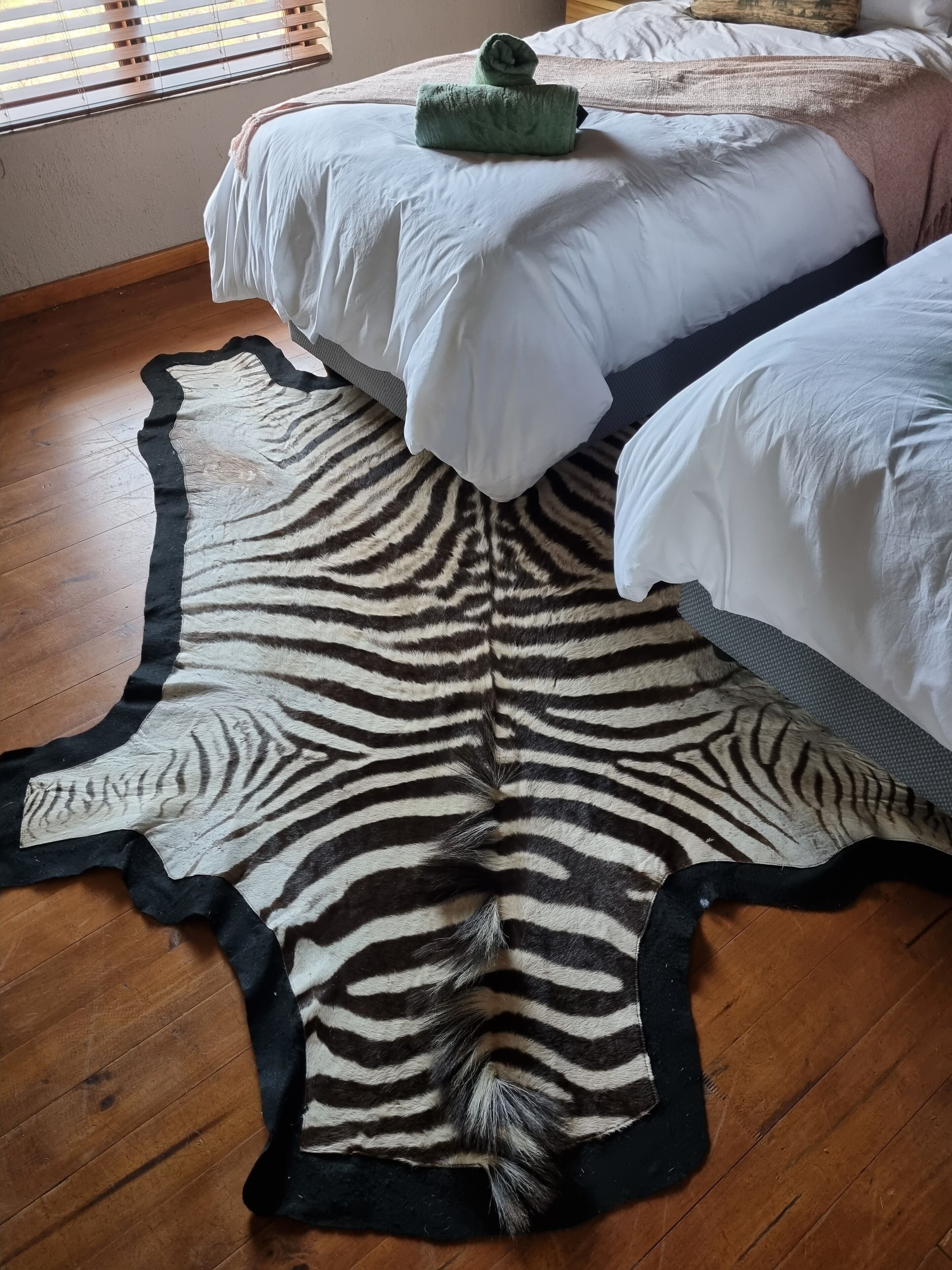 Kamar