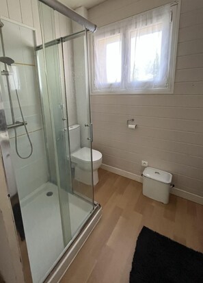 Shower, hair dryer, toilet paper
