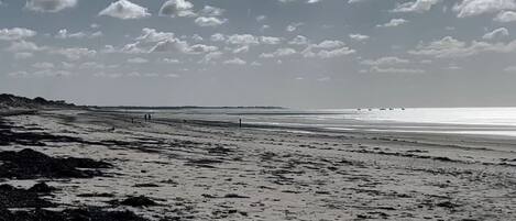 Accommodatie ligt op het strand