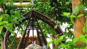 A wicker hanging chair with a cushion, surrounded by lush greenery and red flowers. - Jardins da Lagoa - Casas Completas (Caldas Novas)