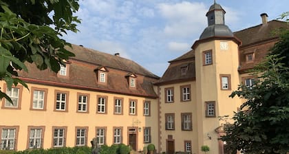 Wohnung im Barockschloss Baujahr 1608 mit großem Garten, See und Tennisplatz