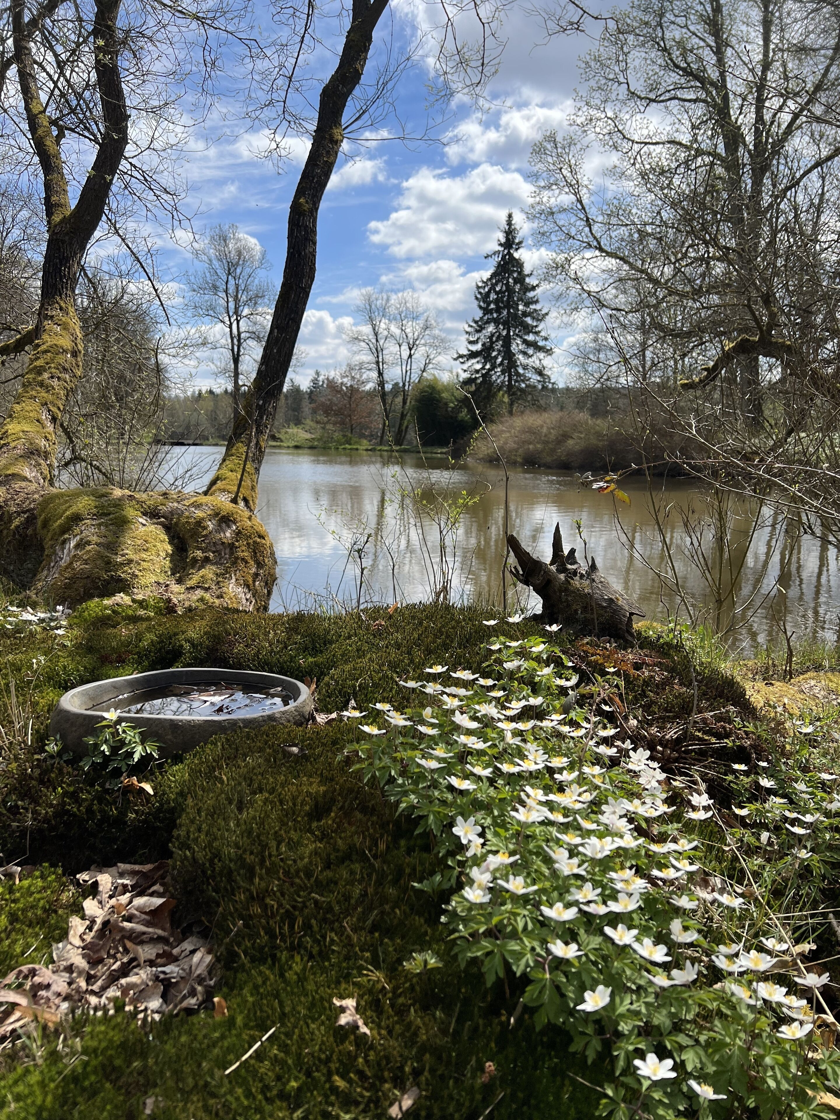 Overnatningsstedets område