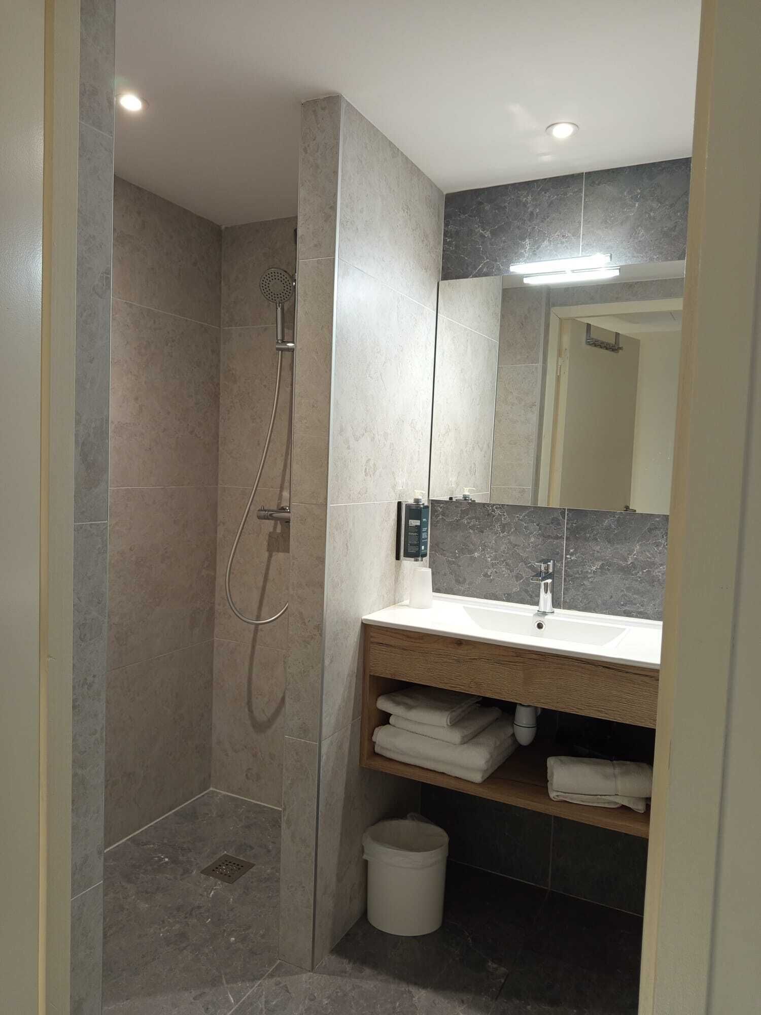 A modern bathroom with a shower, a sink, and a mirror.