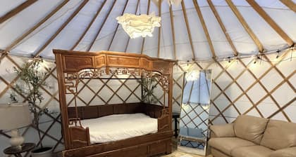 Welcome to the Yurt