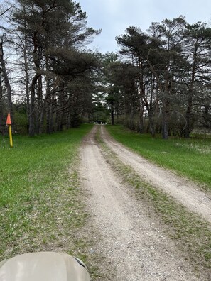 Property grounds - 16 foot Yurt (Big Rapids)