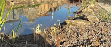 Cottage | Property grounds