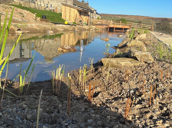 Cottage | Property grounds